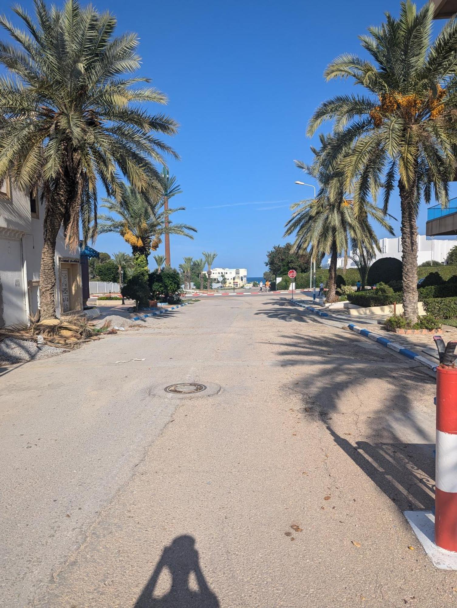דירות El Hafsi Diar El Bahr Mahdia מראה חיצוני תמונה