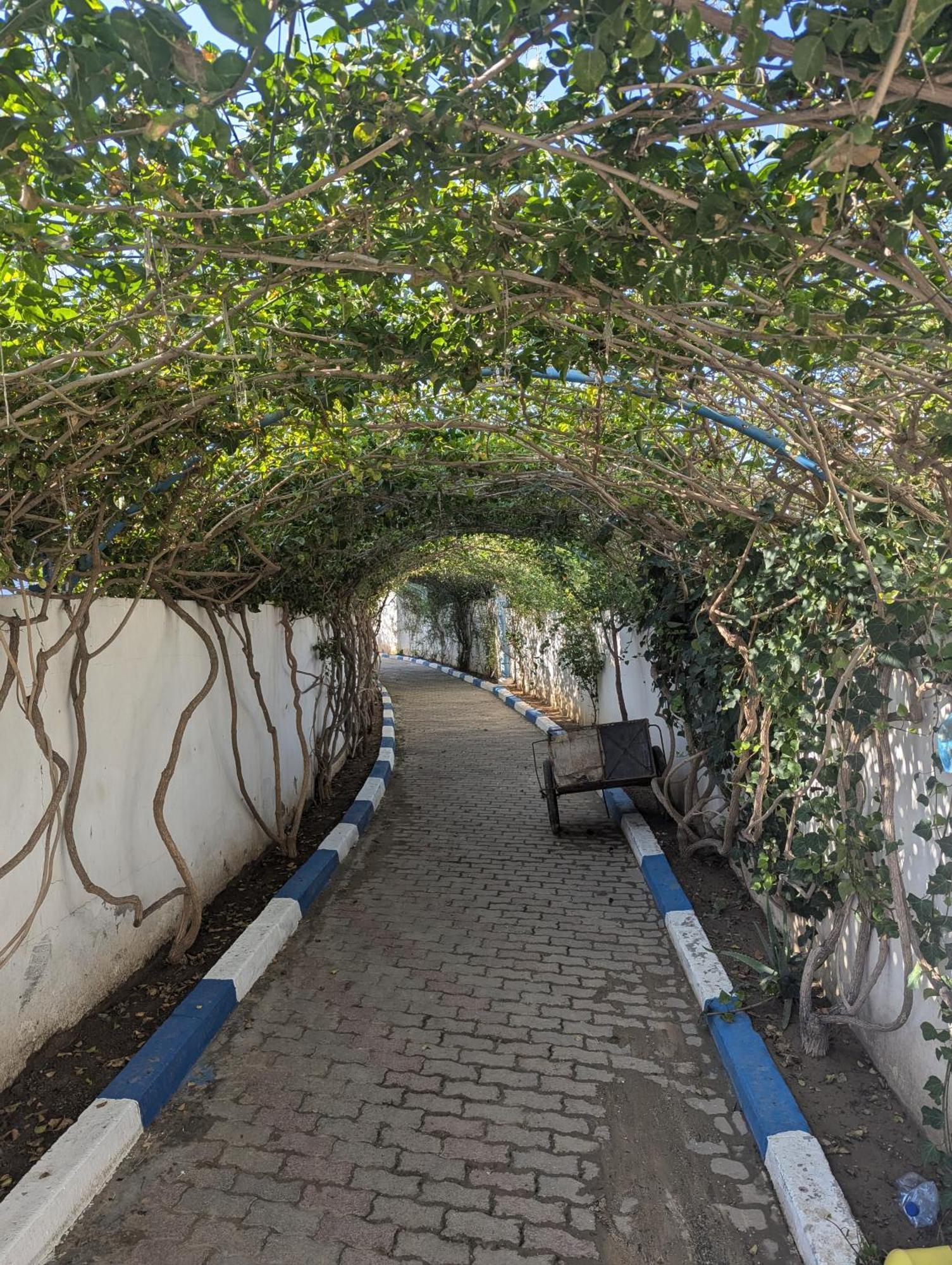 דירות El Hafsi Diar El Bahr Mahdia מראה חיצוני תמונה